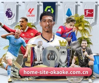home-site-okaoke.com.cn APP